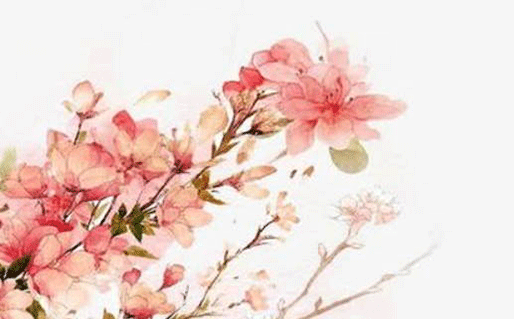 98年属虎女注定的婚姻 98年属虎女婚姻哪个方向好插图
