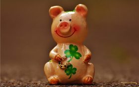 属猪人今年运势2023年每月运势(属猪人2023年整年运势)缩略图 属猪人今年运势2023年每月运势(属猪人2023年整年运势)缩略图