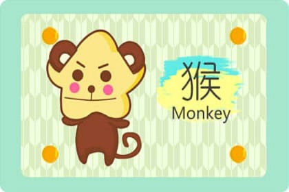 2004属猴在哪年交运 2022年属猴人打春交运应躲什么插图