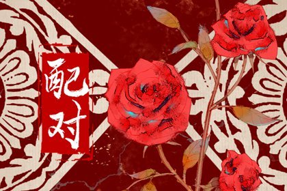 属龙女和属牛男的婚姻相配 1997年属牛男和2000属龙女相配插图