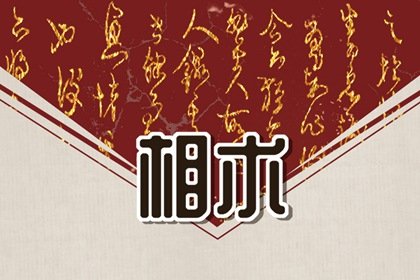以后会越来越有钱女人面相 有贵气的女人面相图片插图