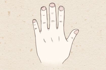 断纹掌人运程 什么样的手相能看出掌相插图
