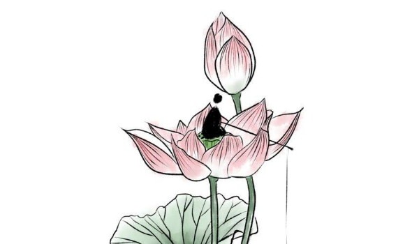 食神偏财多男命 食神格男命配什么格女命插图