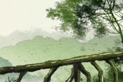 丁酉年运气分析 八字丁酉年命宫运程插图