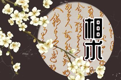 女生的左手左脚有痣代表什么 左脚底有痣的女人代表着什么插图