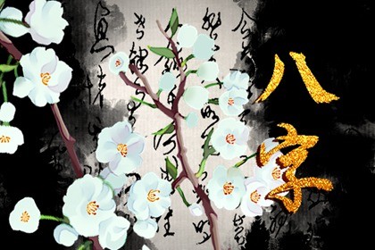 石榴木命身边贵人是谁 石榴木命是奇人还是贵人插图