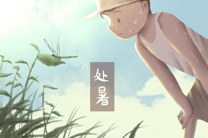 处暑是什么意思处暑的来历和风俗 春夏秋冬里面的处暑是什么意思插图
