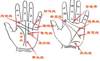 女人手很难看是不是命不好 手好看的女人命好是真的吗插图