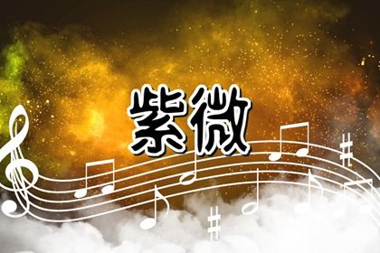 夫妻宫无主星最适合的对象 夫妻宫怎样算空的插图