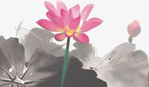 2022年属羊的农历7月份订婚哪天好 2022年属羊最佳订婚日插图