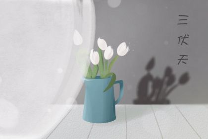 三伏天贴三伏贴是什么讲究 为什么三伏天要三伏贴插图