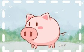 属猪今年运气风水 属猪的人怎样才能增加财运缩略图 属猪今年运气风水 属猪的人怎样才能增加财运缩略图
