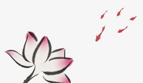 女命地支多合伤官 官杀混杂女命很不好吗插图