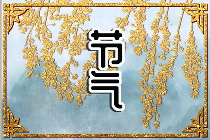 雨水节气养生茶大全 5月份适合喝什么营养茶插图