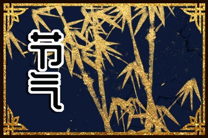 白露时节收集露水有什么作用 露清的意思插图
