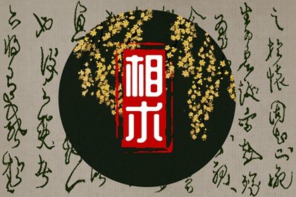 天选之人的手相和面相特征 看手相需要知道名字吗插图