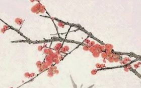 猪虎生肖三合六贵 属猪和属虎的今年运势如何缩略图 猪虎生肖三合六贵 属猪和属虎的今年运势如何缩略图