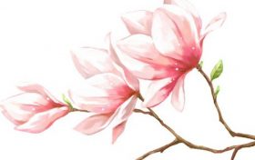 98年属虎男辰时出生的最佳婚配 98属虎本命年能结婚吗缩略图 98年属虎男辰时出生的最佳婚配 98属虎本命年能结婚吗缩略图