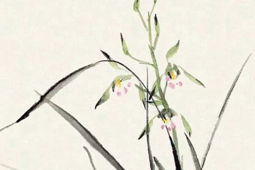 乙巳日柱女命运 乙巳日柱男命最终婚姻插图