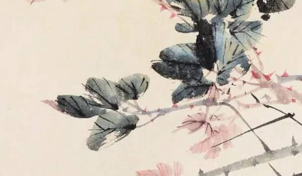 属鸡的人2022年考试能通过吗 属鸡的2023年学业怎么样插图
