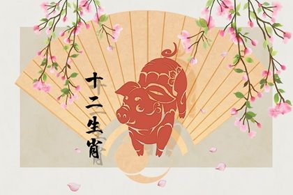 属虎的人适合选什么车牌号码 属虎的人什么车牌号比较好插图