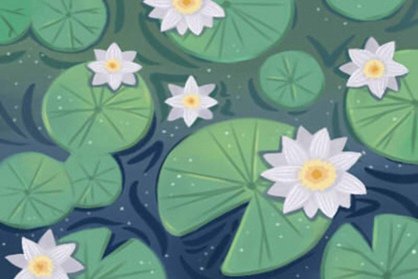 梦见荷花在地上 梦见小船里有荷花插图