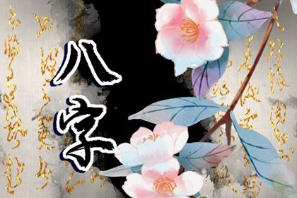 辛未日柱与辛未日柱相合吗 身弱辛未日柱走辛未大运插图