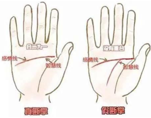 男孩右手断掌纹的图片 男孩断掌纹上面还有一条线插图