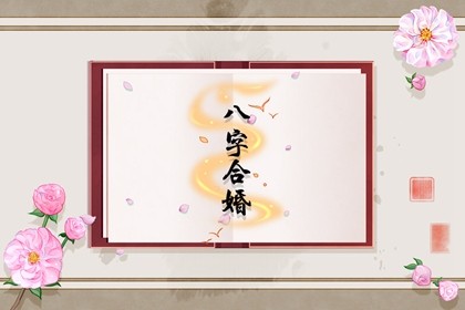 属狗女和属鼠男的相配吗 女属狗和男属鼠婚姻相配吗插图