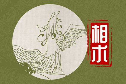 嘴角下方长痣痣上还长毛好吗 上嘴唇长痣好呢还是下嘴唇长痣好插图