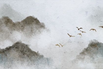 明年属兔的宝宝几月出生最好 属兔的男孩命格怎么样插图