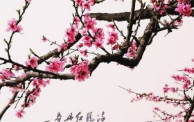 建筑装饰有限公司起名字大全免费 2022建筑公司起名字大全缩略图 建筑装饰有限公司起名字大全免费 2022建筑公司起名字大全缩略图