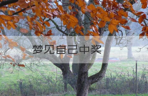 做梦梦见中奖了是好事吗 梦见自己中奖了是什么意思和征兆插图