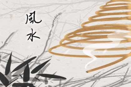 室内好养的耐寒大型绿植 室内最好养的大型绿植插图