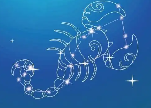 12星座里面什么星座最笨了 十二星座最傻的五大星座插图
