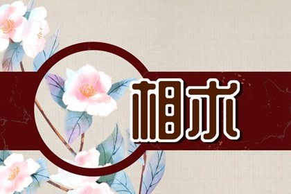 什么地方适合谈感情 爱情中意见不一怎么沟通插图