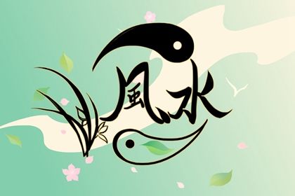 五行属水选什么车牌 根据生日名字五行怎么选车牌号插图