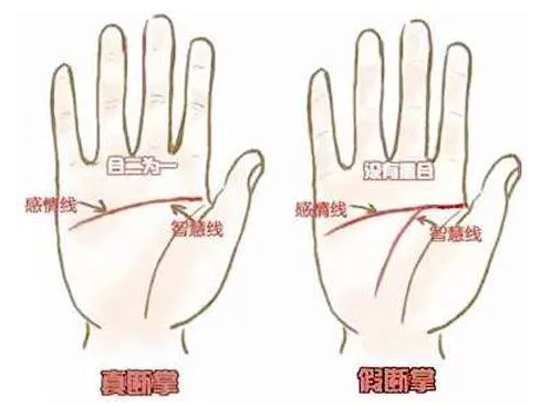 断掌纹的男人运势 男子右手断掌纹运气好吗插图