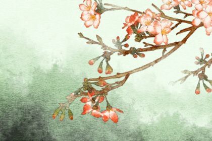 命里缺木有哪些缺点 八字缺木的人易得什么疾病插图