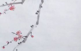 属虎人最怕生在几月 6月属虎人代表人物缩略图 属虎人最怕生在几月 6月属虎人代表人物缩略图
