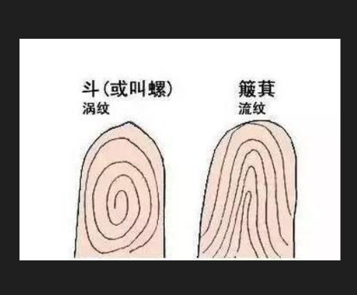 女人手有8个螺代表什么 女人手上有八个螺代表什么插图