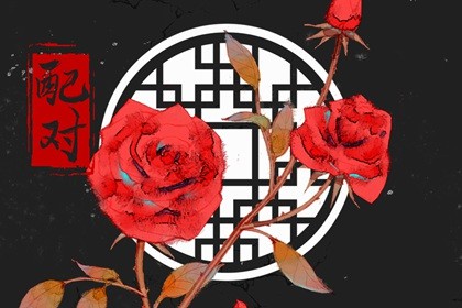 女属相马和男属相龙婚配如何 02年的马女和00年的龙男合婚吗插图