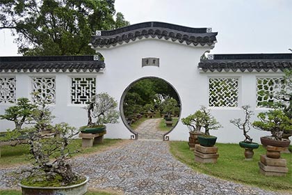 蓬姓由来 蓬姓全国大约多少人插图 蓬姓由来 蓬姓全国大约多少人插图