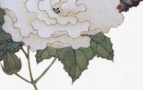 八字和属相合婚哪个重要 婚配属相重要还是八字重要缩略图 八字和属相合婚哪个重要 婚配属相重要还是八字重要缩略图