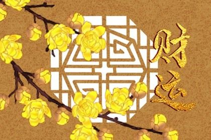 居室适合养什么花旺财 家里阳台上适合养什么藤花插图