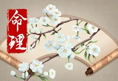 从生辰八字看带什么贵人 男命八字全是贵人插图