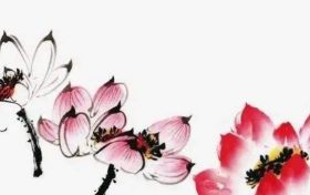 办公室摆放什么植物最好看 办公室摆放哪种植物最好缩略图 办公室摆放什么植物最好看 办公室摆放哪种植物最好缩略图