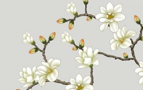 生肖虎家里适合摆放什么吉祥物 家主生肖虎家里摆放什么缩略图 生肖虎家里适合摆放什么吉祥物 家主生肖虎家里摆放什么缩略图