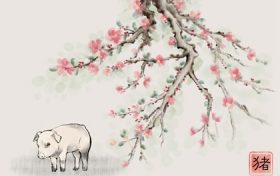 属猪的手机尾号什么数字最好 属猪的什么号码好缩略图