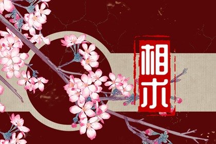 元宝耳朵男孩面相 男孩元宝耳朵有福气吗插图
